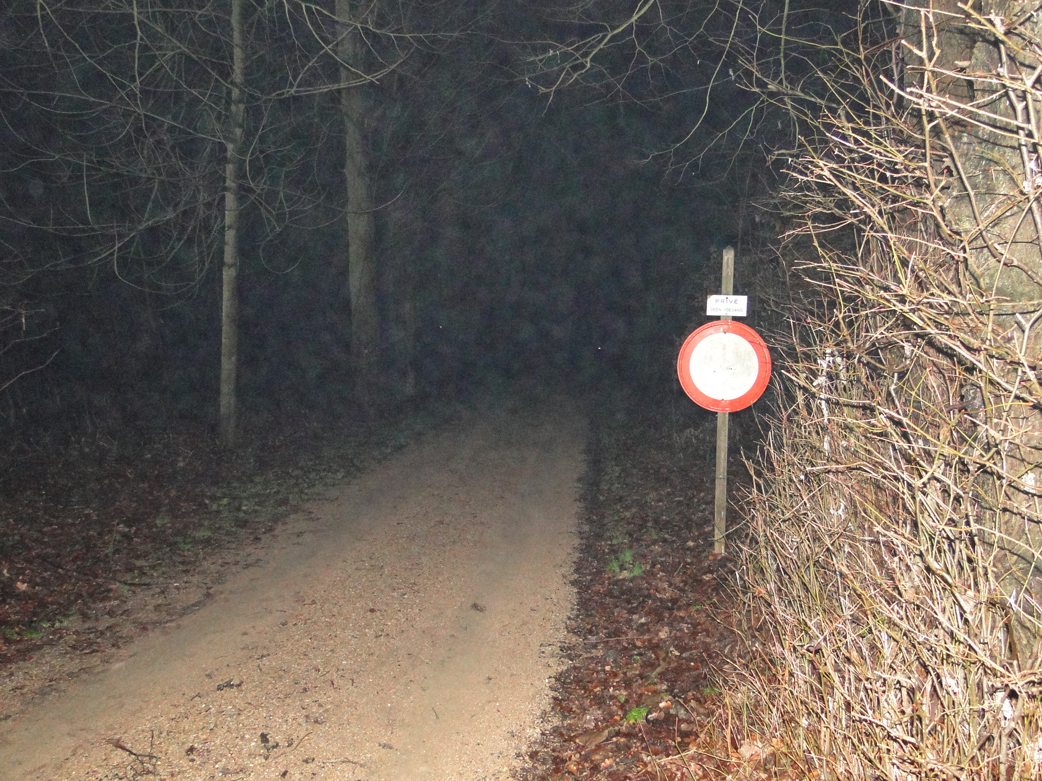 NWK 2010 047.jpg
